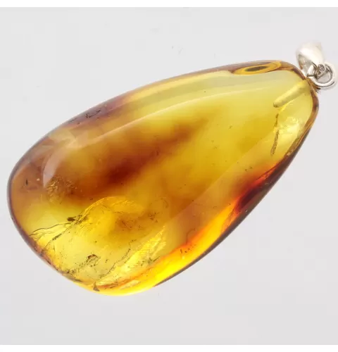 Baltic amber silver pendant w insect inclusion