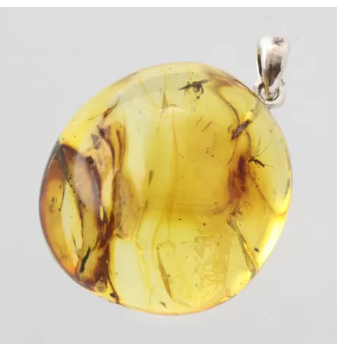 Baltic amber silver pendant w insect inclusion