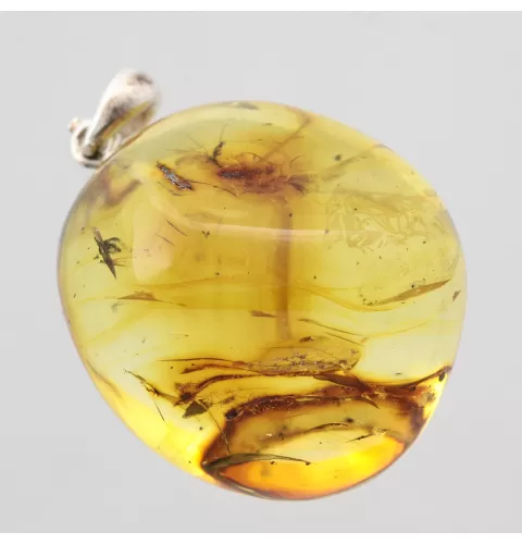 Baltic amber silver pendant w insect inclusion