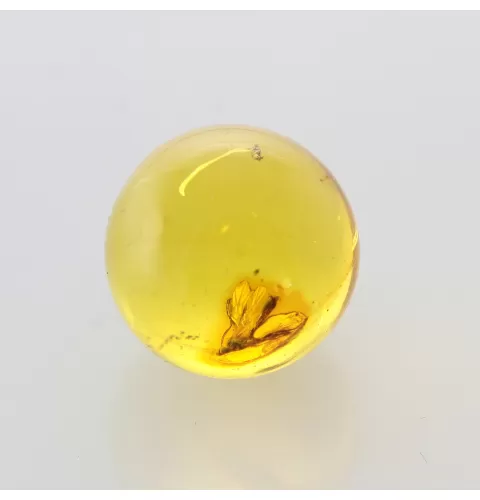 Gnat Insect in Baltic Amber Ball Fossil Specimen