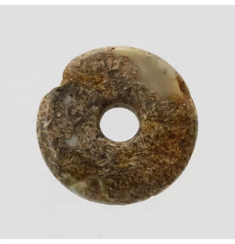 Donut shape Baltic amber pendant medallion