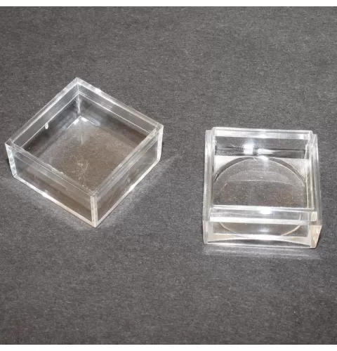 Small magnifying box for fossil stones