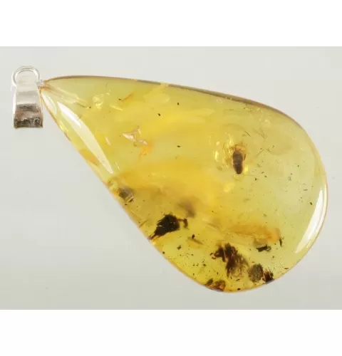 COCKROACH in Baltic amber fossil stone silver pendant