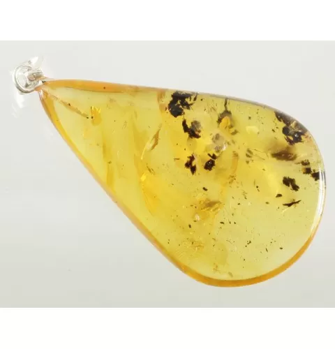 COCKROACH in Baltic amber fossil stone silver pendant