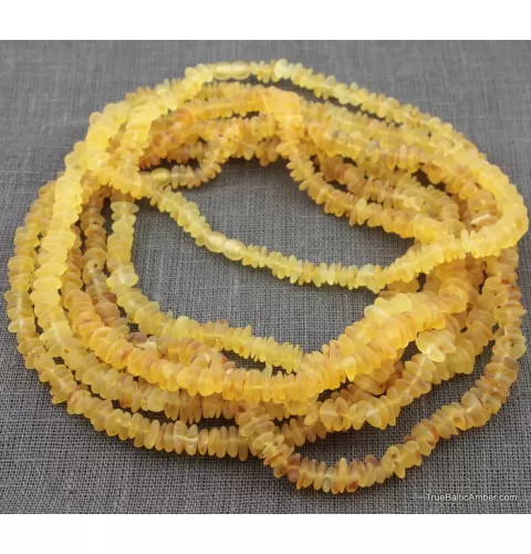 5 CHIPS NUGGETS Baltic amber adult necklaces 46cm