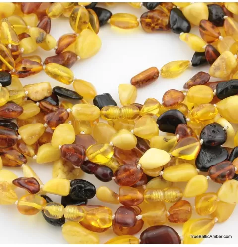10 Multi larger BEANS Baltic amber adult wholesale necklaces