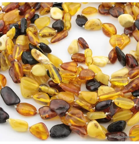 10 Multi larger BEANS Baltic amber adult wholesale necklaces