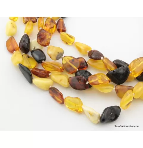 5 Multi BEANS Baltic amber adult wholesale necklaces 20in