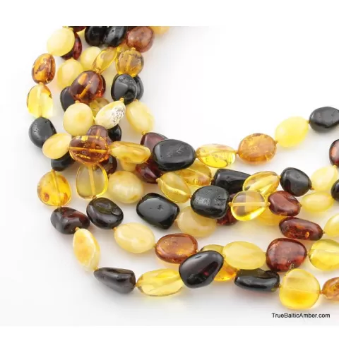 6 Multi larger BEANS Baltic amber adult wholesale necklaces