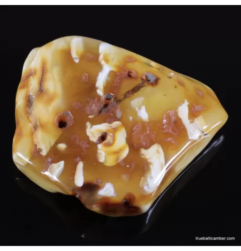 Antique butter large Baltic amber fossil 15g stone