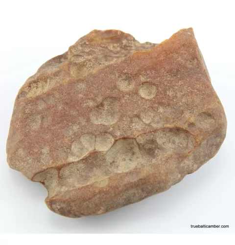 Massive genuine Baltic amber fossil stone 132g