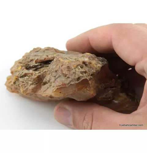 Massive genuine Baltic amber fossil stone 123g