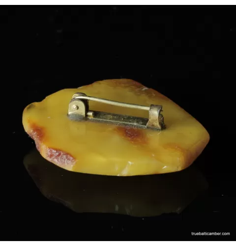 Vintage Baltic amber brooch