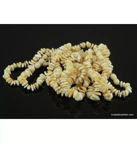 10 White CHIPS Baltic amber adult bracelets