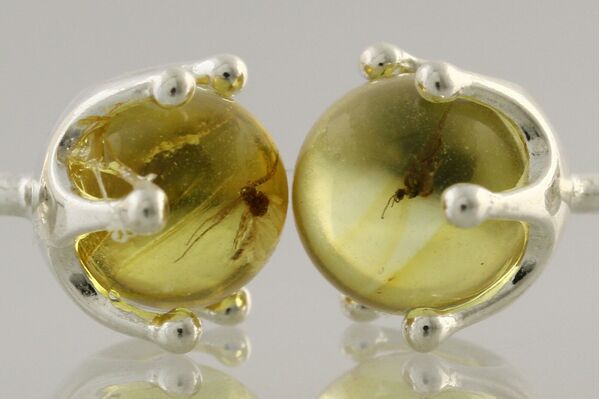 Fossil Studs Baltic amber Silver Earrings