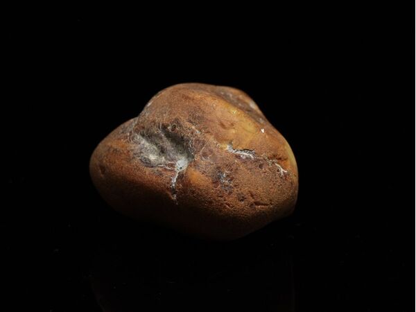 Natural Genuine Baltic Amber Sea Stone 27g