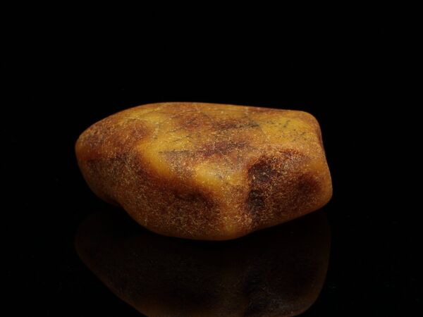Natural Genuine Baltic Amber Sea Stone 28g