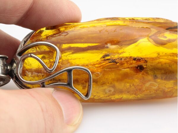 Huge amulet Baltic amber silver pendant w insect inclusion 55g
