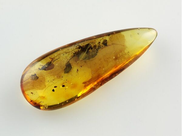 Fly Insect inclusions in Baltic amber fossil stone