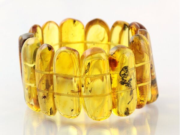 Baltic amber stretch bracelet with insect inclusions 19cm