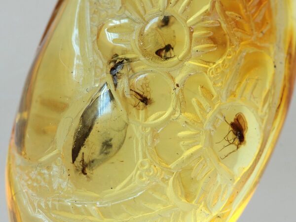 Swarm Insect in Carved Amulet Baltic amber fossil pendant