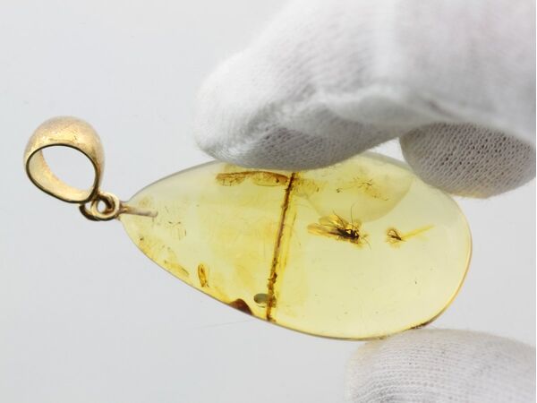Drop Baltic amber pendulum pendant w insect inclusion