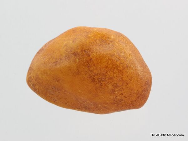 27g Raw Rough Genuine Baltic amber Drop Stone