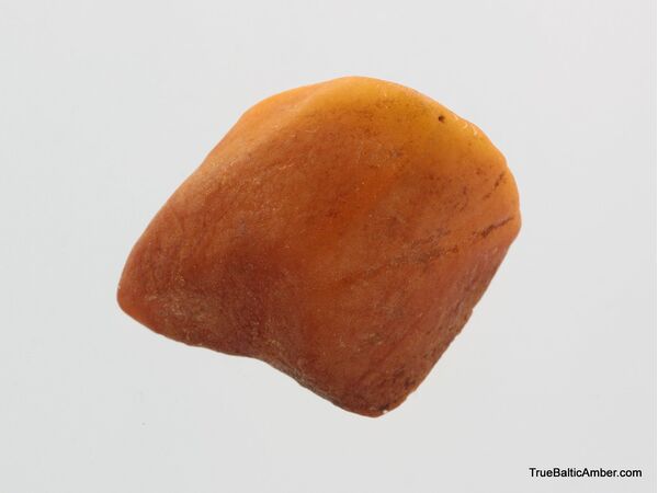 20g Raw Rough Genuine Baltic amber Stone