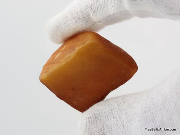 20g Raw Rough Genuine Baltic amber Stone