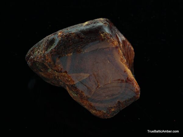 33g Raw Rough Genuine Baltic amber Stone
