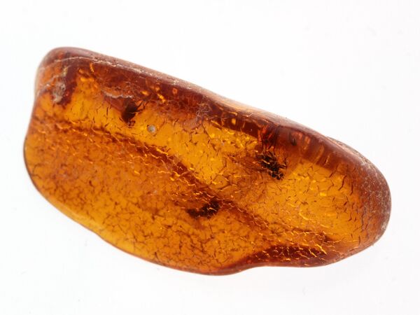 3 Flies inclusions in Baltic amber fossil stone
