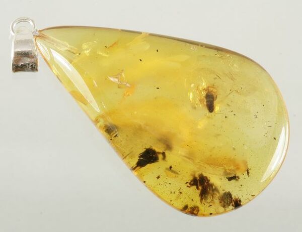 COCKROACH in Baltic amber fossil stone silver pendant