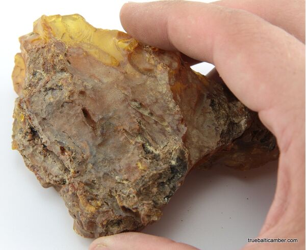 Massive genuine Baltic amber fossil stone 123g