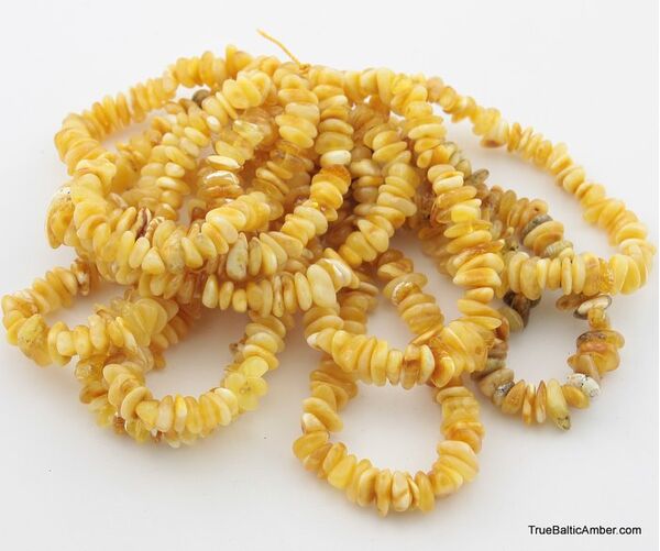 10 Butter NUGGETS Baltic amber adult strech bracelets