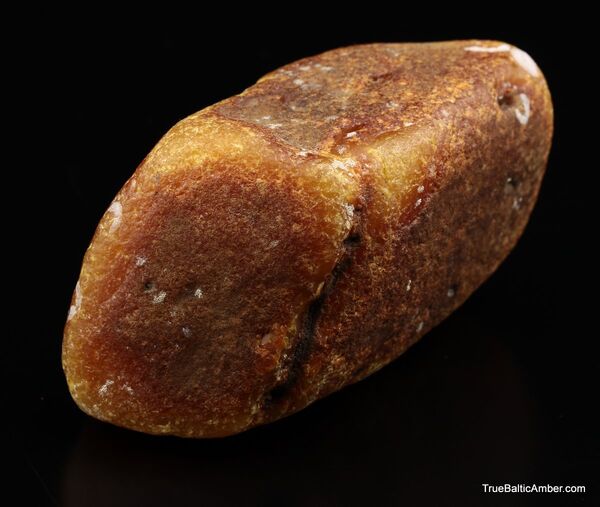 Large Egg Yolk Baltic amber fossil sea stone 146g