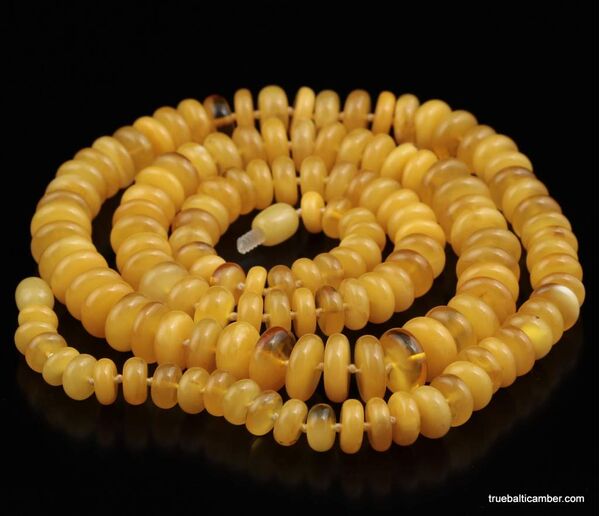 Egg Yolk BUTTON beads Baltic amber necklace 30in