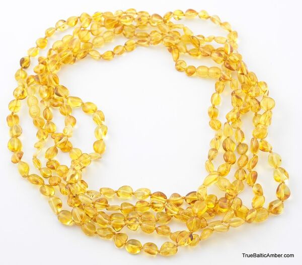 5 Honey BEANS Baltic amber adult wholesale necklaces