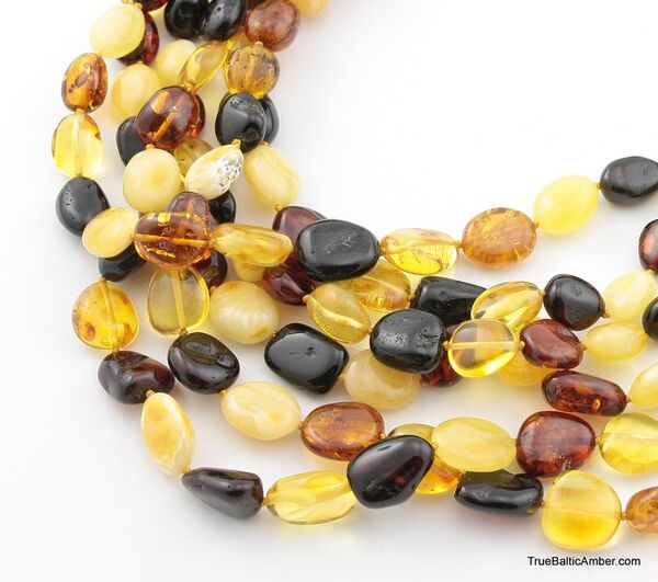 6 Multi larger BEANS Baltic amber adult wholesale necklaces