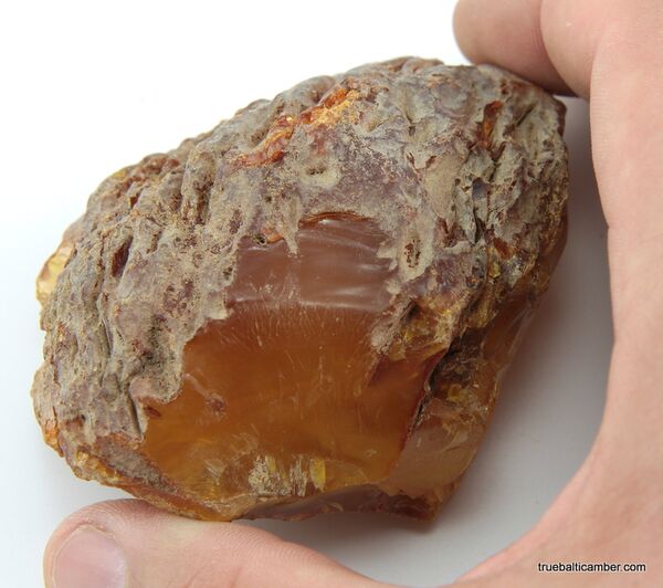 Massive genuine Baltic amber fossil stone 125g