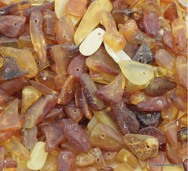 Drilled loose Baltic amber Semi-Polished CHIPS