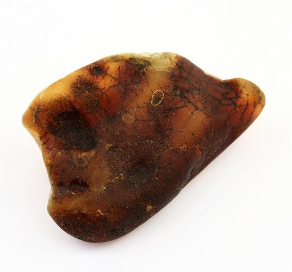 Genuine Baltic amber raw fossil stone