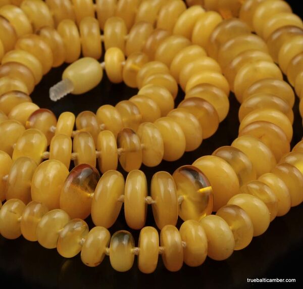 Egg Yolk BUTTON beads Baltic amber necklace 30in