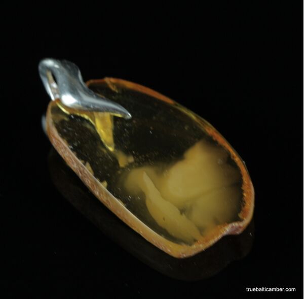 Baltic amber CARVED pendant