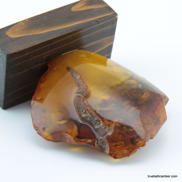 Vintage Baltic amber fossil stone w stand