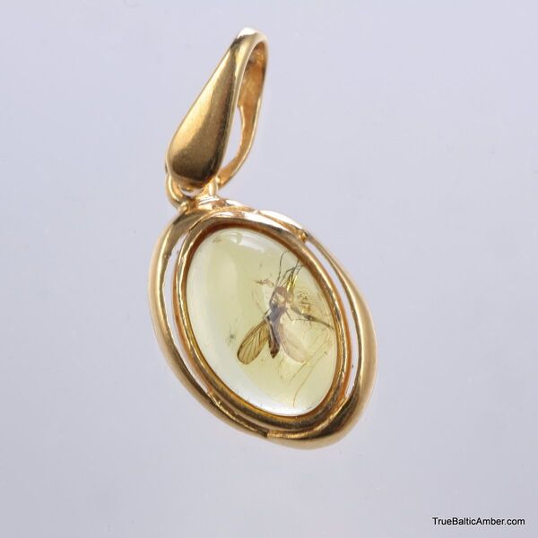 Gold Plated Baltic amber pendant with insect inclusion