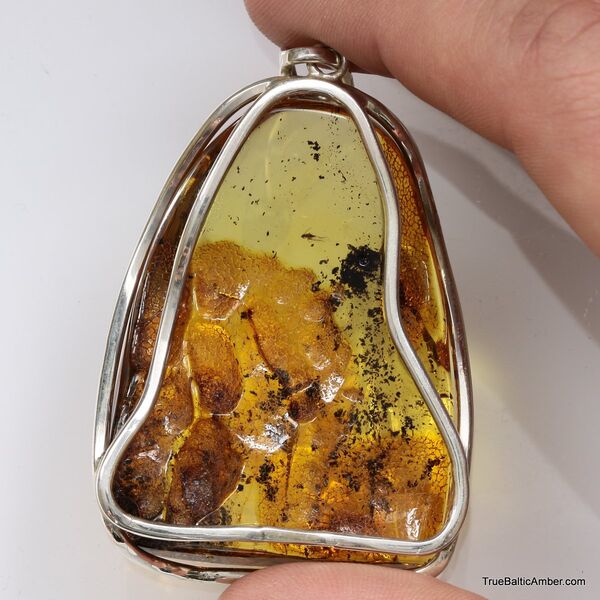 Large amulet Baltic amber silver pendant with insect inclusion 21g