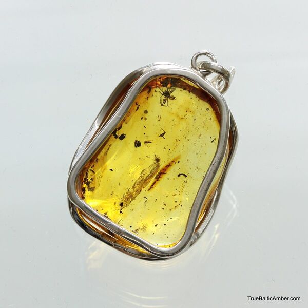 Large amulet Baltic amber silver pendant with diptera insect inclusion 15g