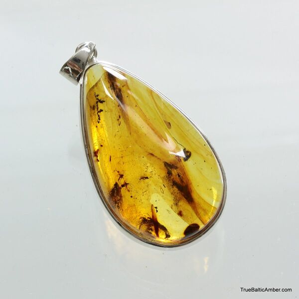 Large amulet Baltic amber silver pendant w insect inclusion 16g