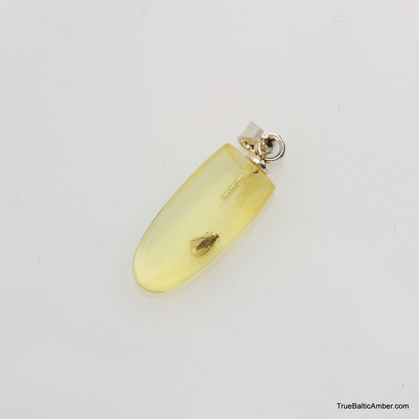 Baltic amber silver pendant w insect inclusion 1g