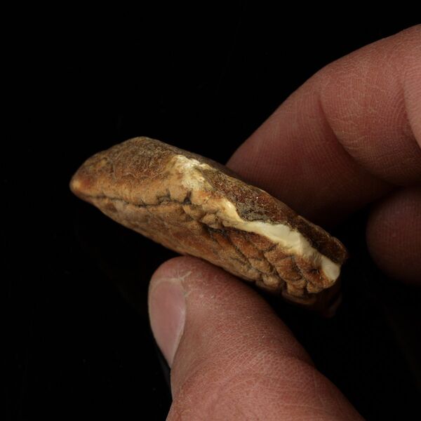 Raw Rough Genuine Baltic amber 10g Stone